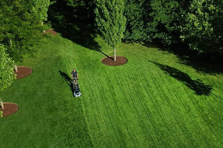 best self propelled battery lawn mower