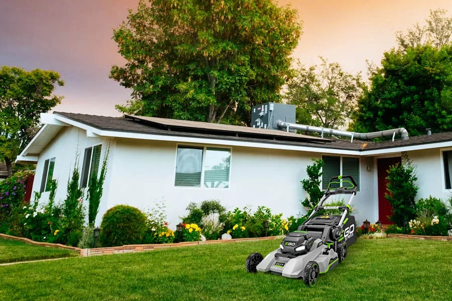 small lawn cutter